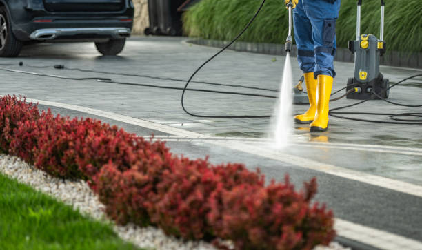 Best Building Exterior Washing  in Ely, IA